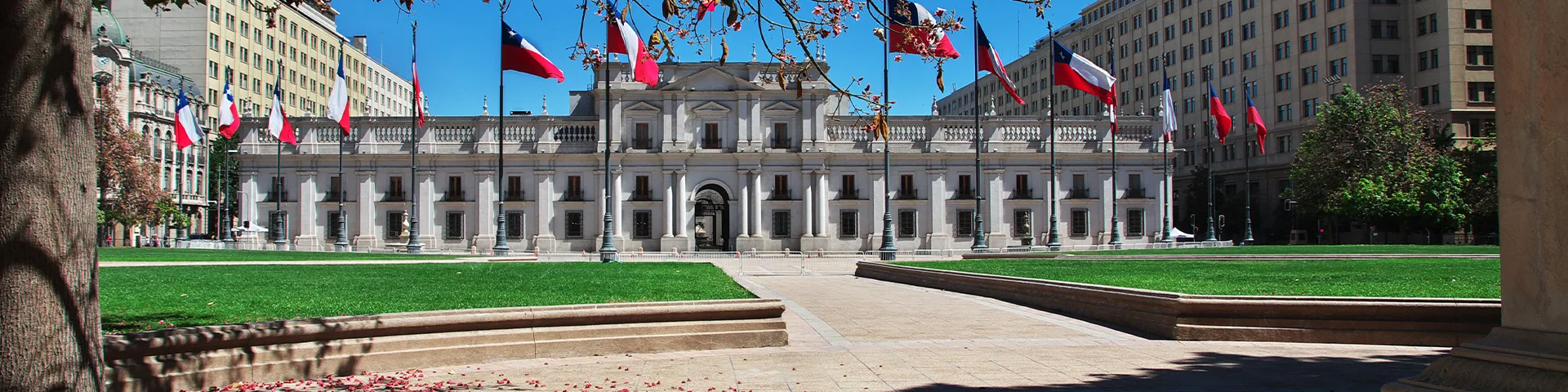 Especial Septiembre: Análisis Clínico de Diego Portales