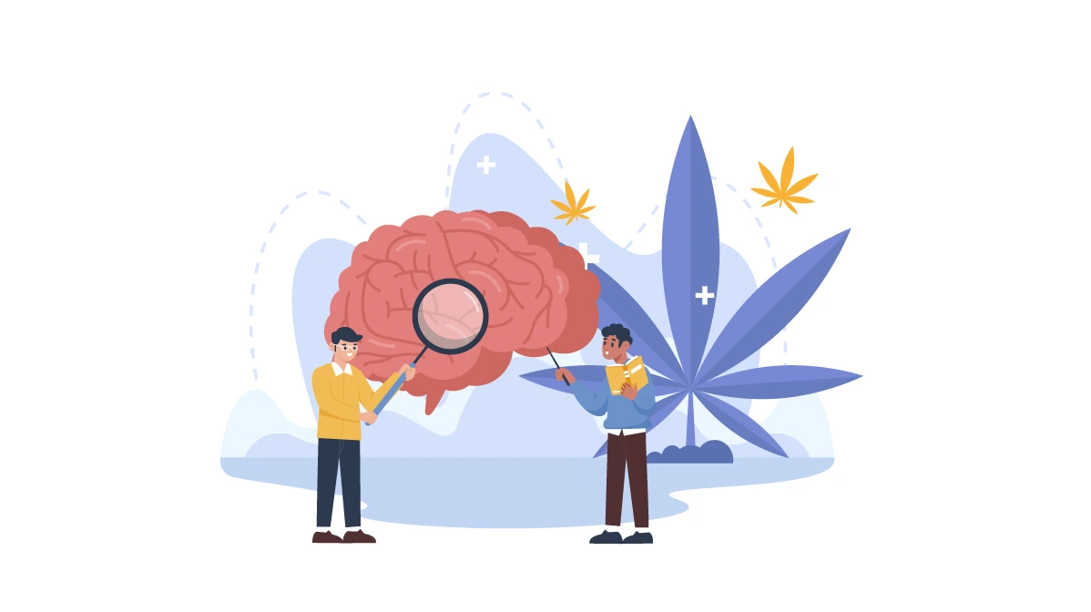 Efectos del consumo de cannabis en el perfil cognitivo: evidencia desde WAIS-IV - Adipa