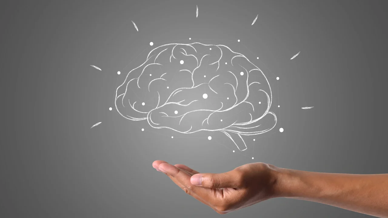 Neuropsicología: qué es, aplicaciones y su importancia en el desarrollo humano