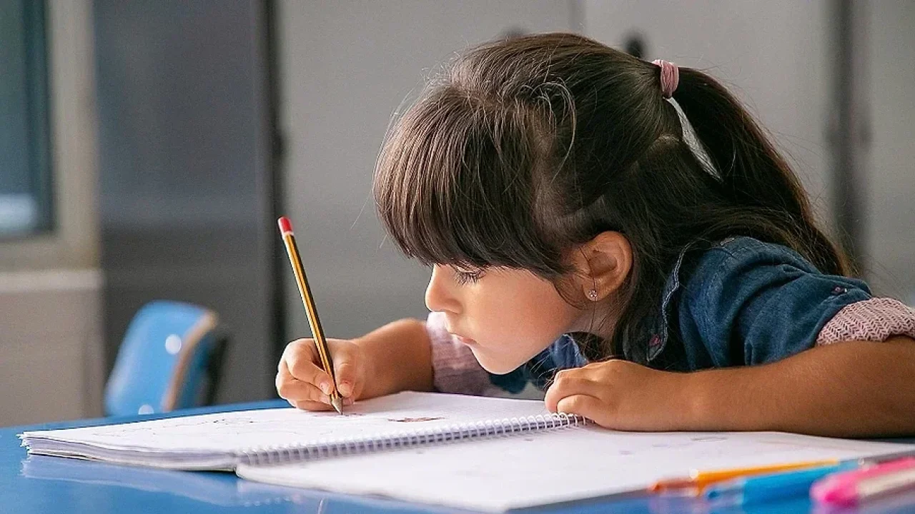Inteligencias Múltiples de Gardner: guía para psicólogos